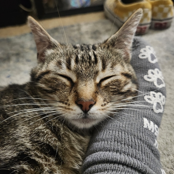 Meet your Posher, Stefie๐ฆ๐๐ฆ - Picture 8 of 9